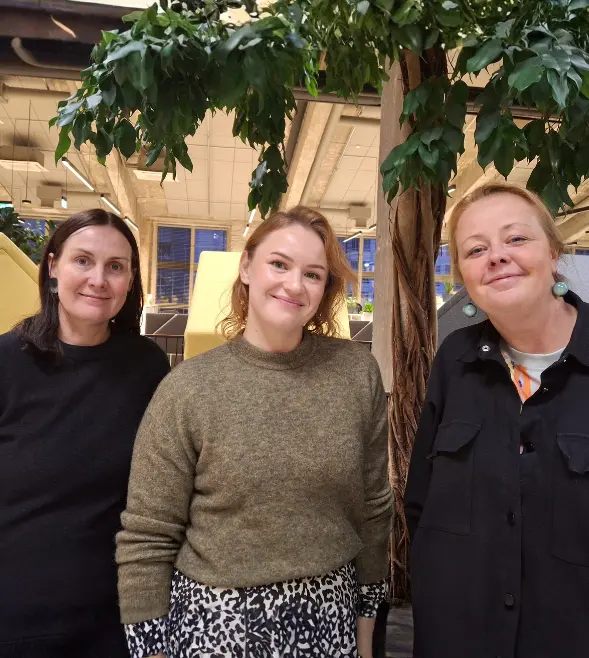 Vaimne tervis töökohas. Toksilist keskkonda hüvedega ei kompenseeri