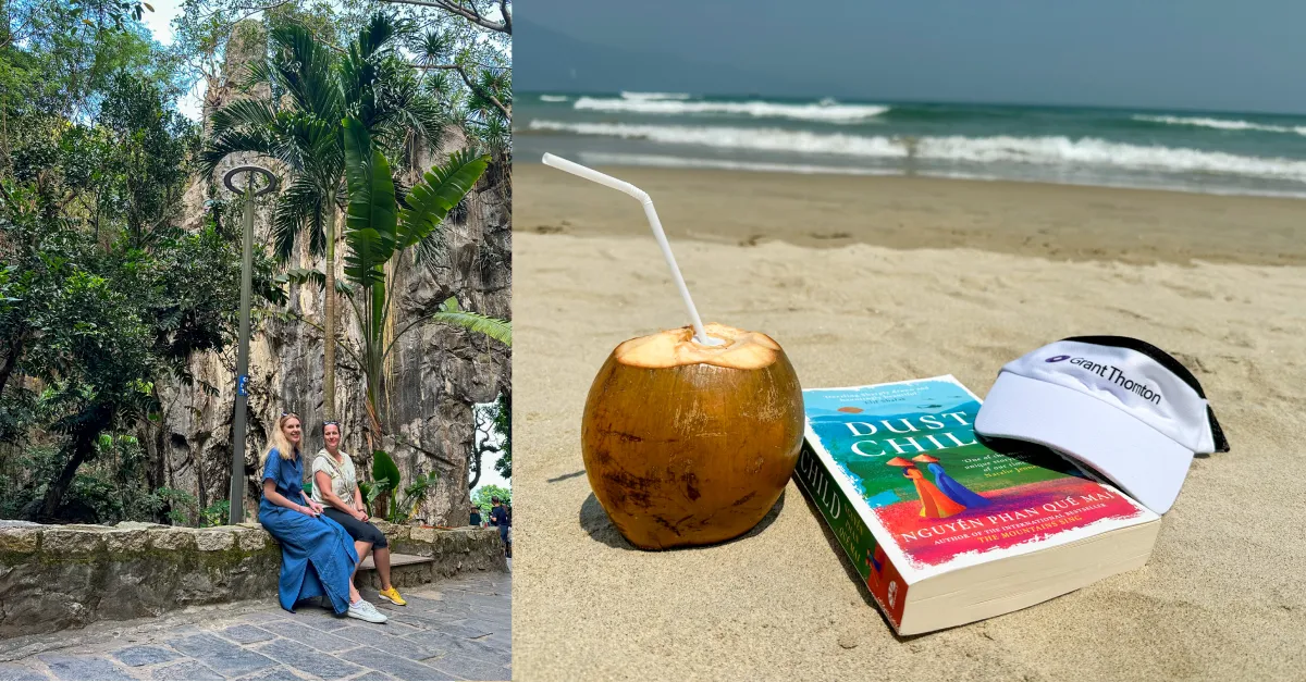 Vietnam programme collage