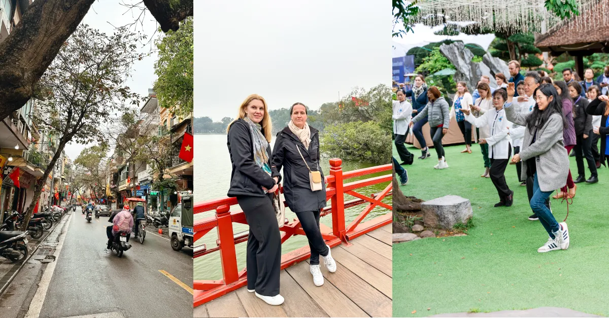 Vietnam programme collage